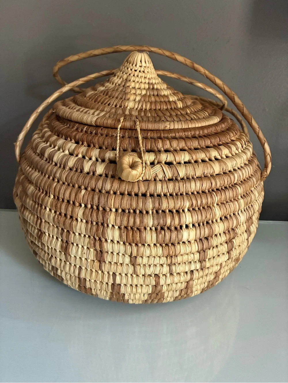 Handmade Lidded African Coiled Basket with Handles Natural Woven Storage Basket